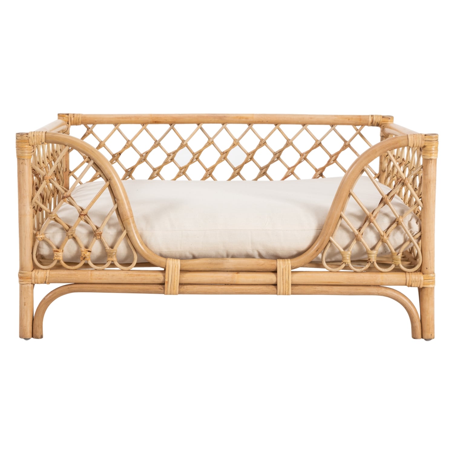 TAFT KÖPEK KOLTUĞU