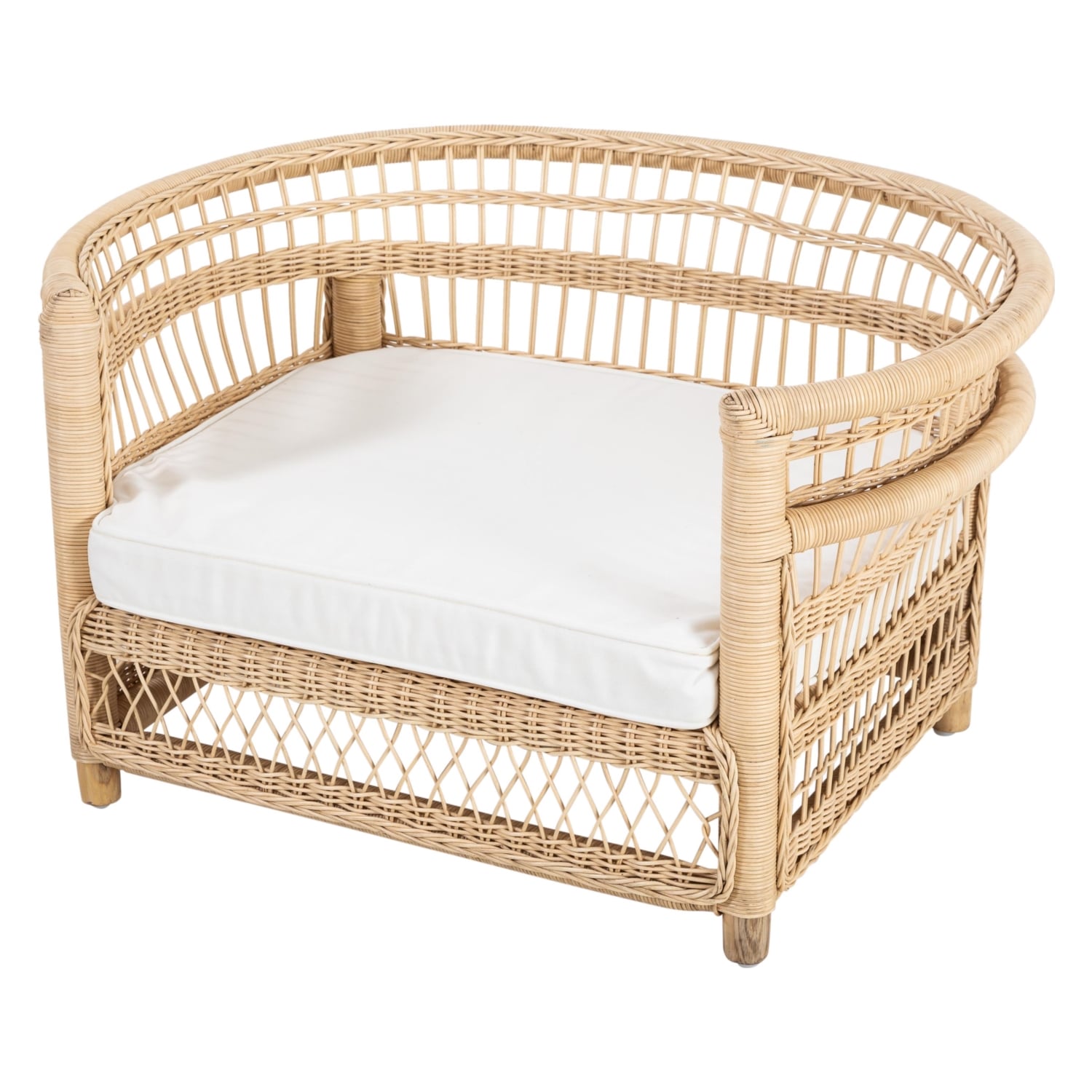 DOUGLAS KÖPEK KOLTUĞU