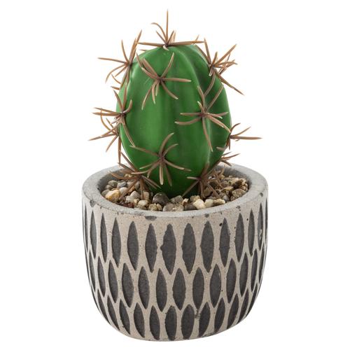  ETHNIC SAKSILI II YAPAY KAKTÜS 11X6CM