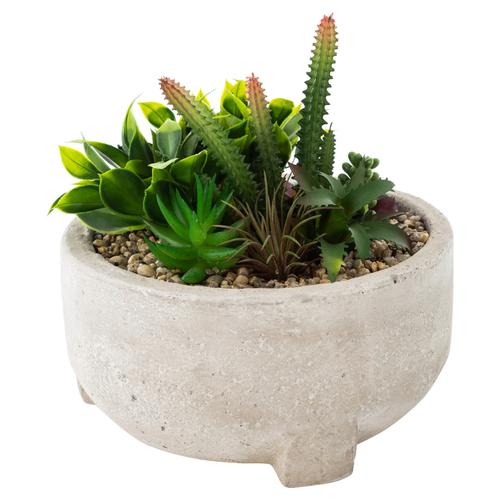  HARRISIA SAKSILI YAPAY SUKULENT 18X20CM