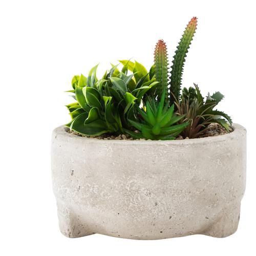  HARRISIA SAKSILI YAPAY SUKULENT 18X20CM