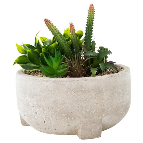  HARRISIA SAKSILI YAPAY SUKULENT 18X20CM