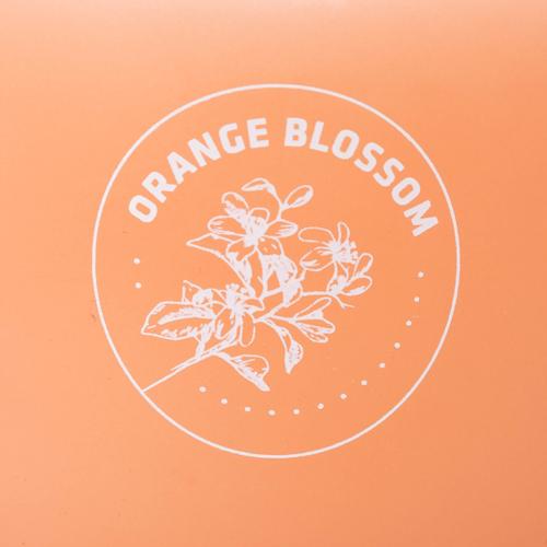  FLOR ORANGE KOKULU BARDAK MUM