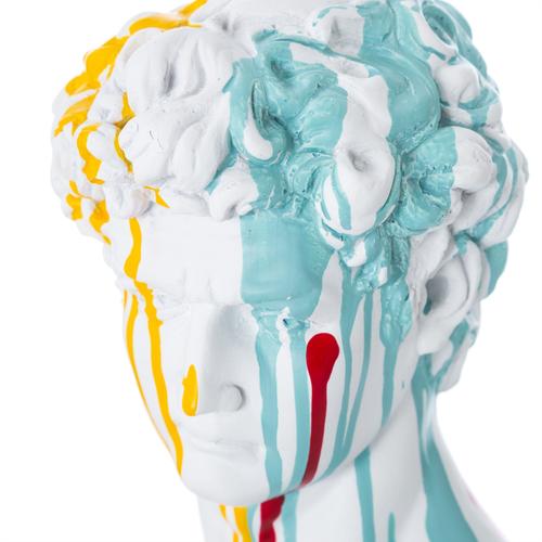  DAVİD BÜST COLORFUL