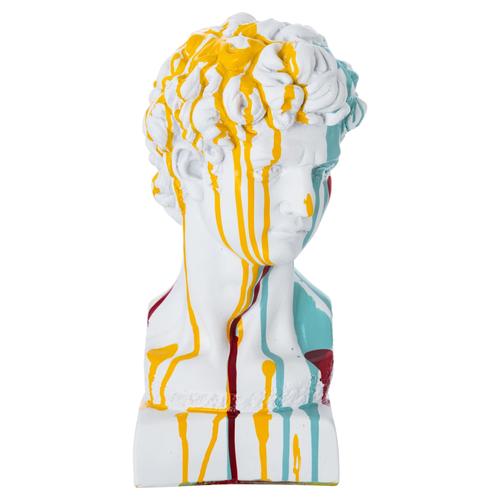  DAVİD BÜST COLORFUL