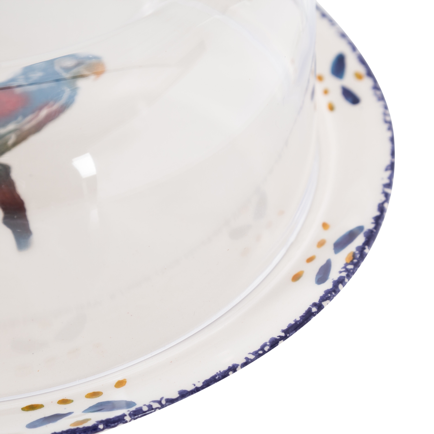 PARROT KAPAKLI KEK FANUSU