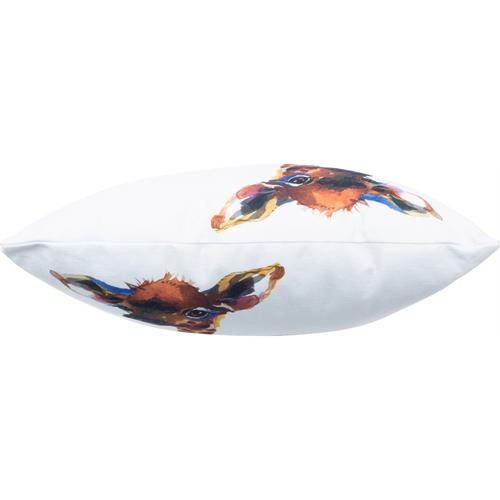  SAFARİ ZÜRAFA KIRLENT RENKLİ 45x45