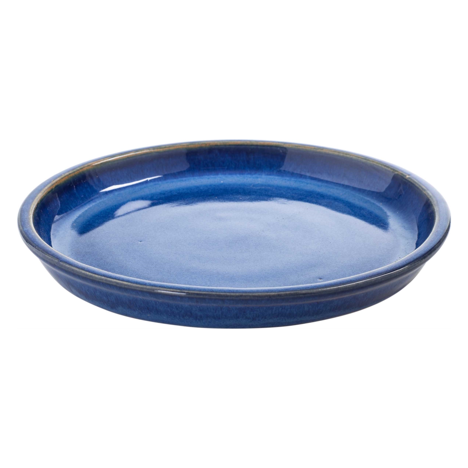 SNAIL SAKSı TABAĞI M