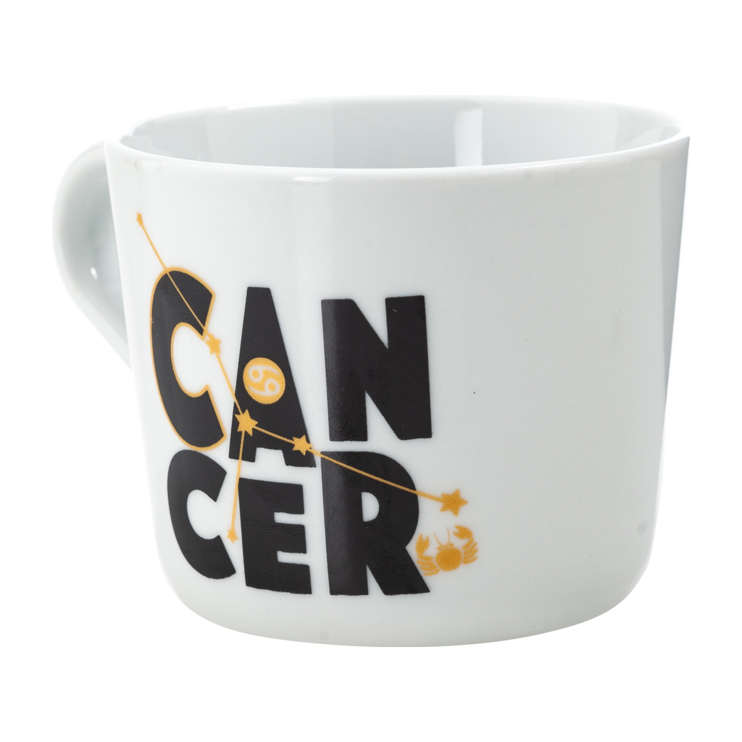 YENGEÇ BURCU KUPA  360 ML