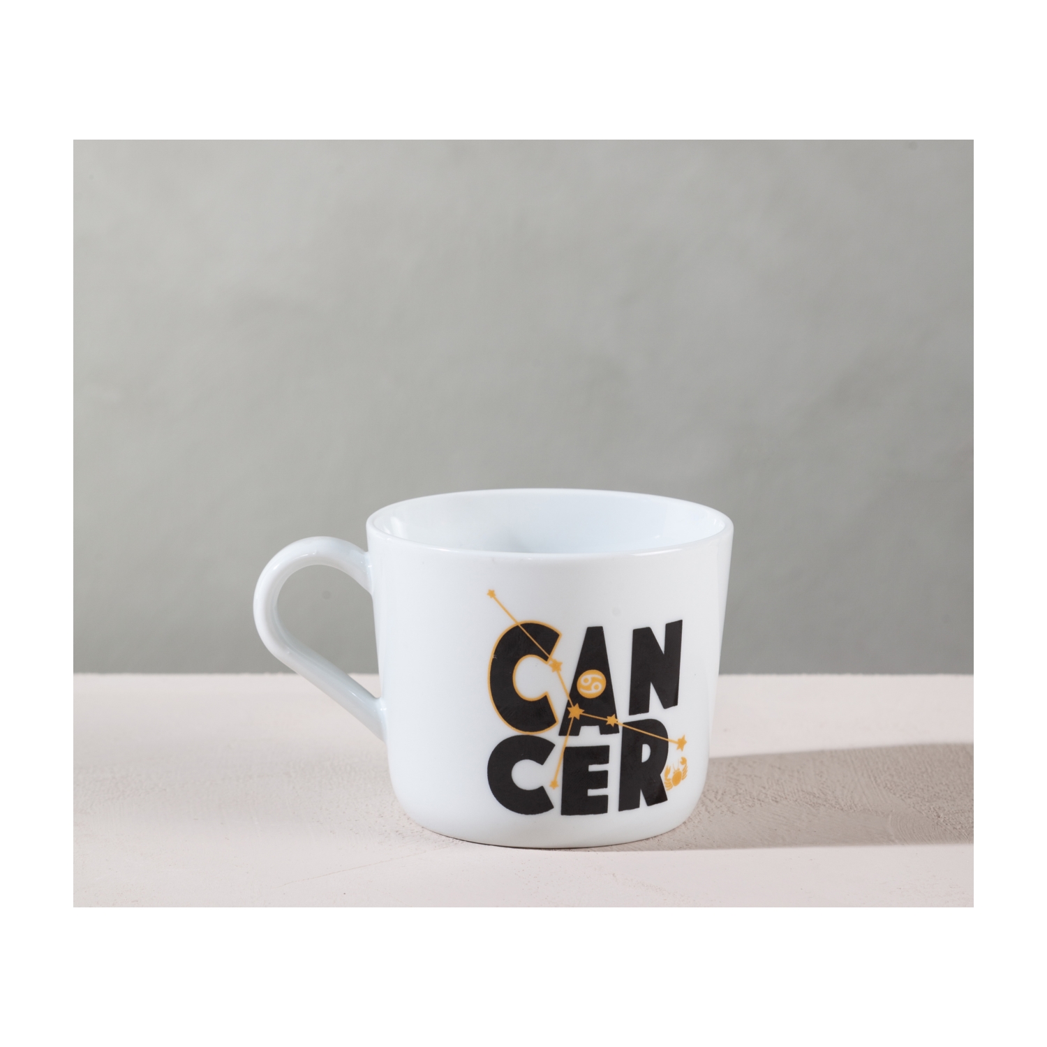 YENGEÇ BURCU KUPA  360 ML