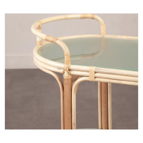  RODOS SERVİS ARABASI