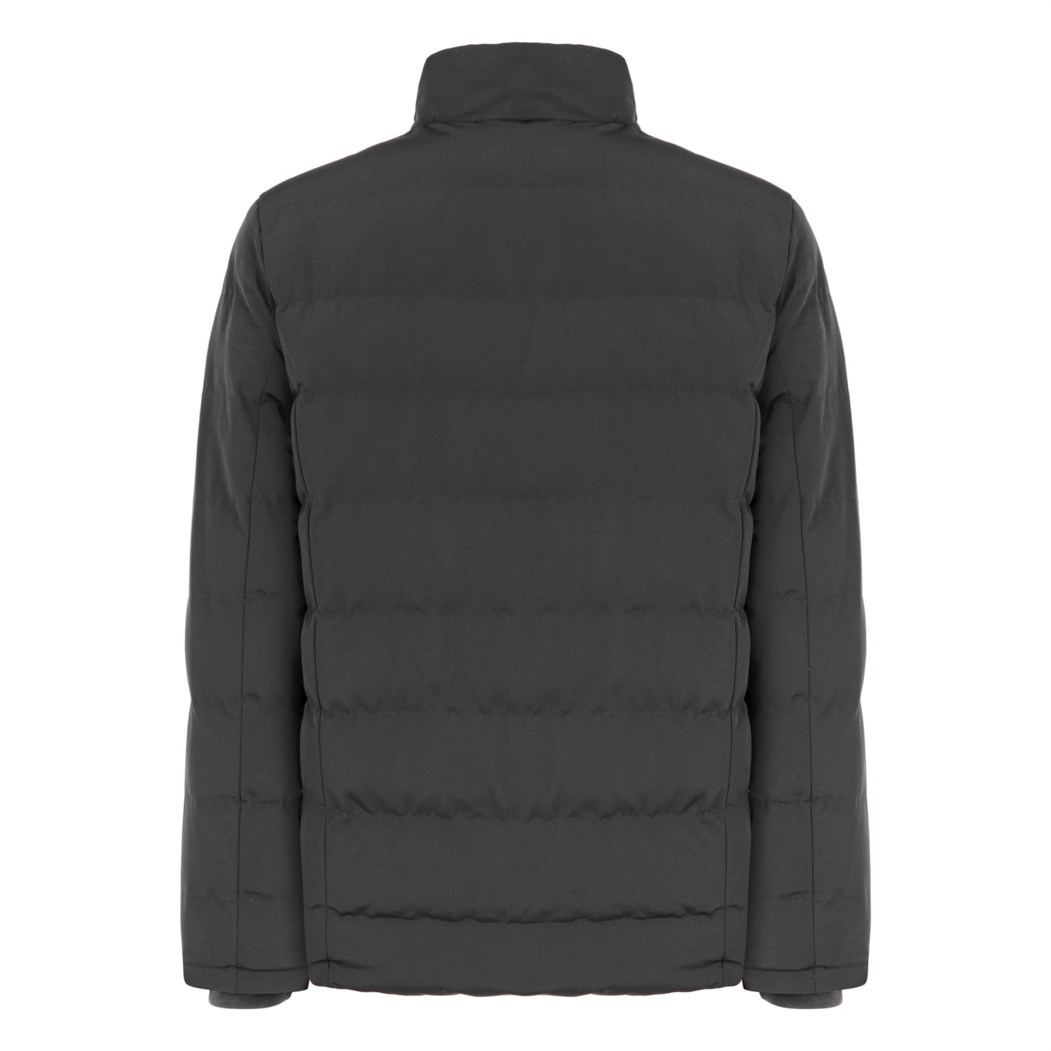 DİK YAKA ŞİŞME MONT