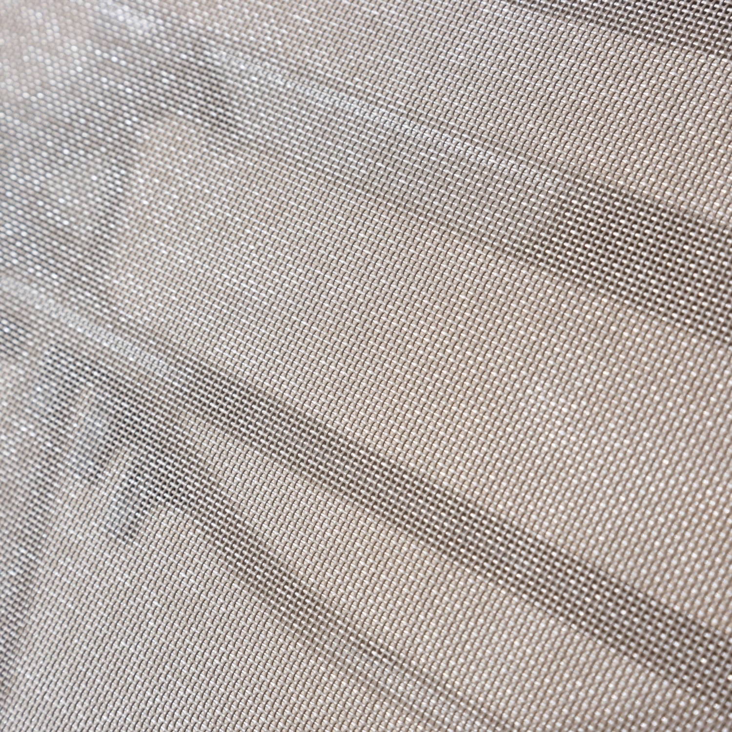 LEPUS ŞEZLONG ŞAMPANYA