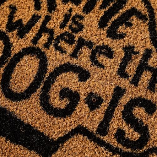  DOG KOKO PASPAS 33X60CM