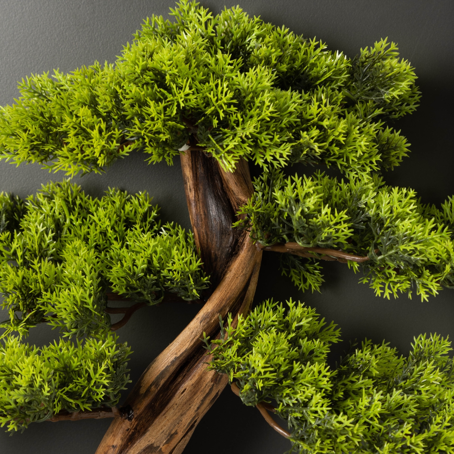 THUJA DUVAR PANOSU 34,5X65 CM