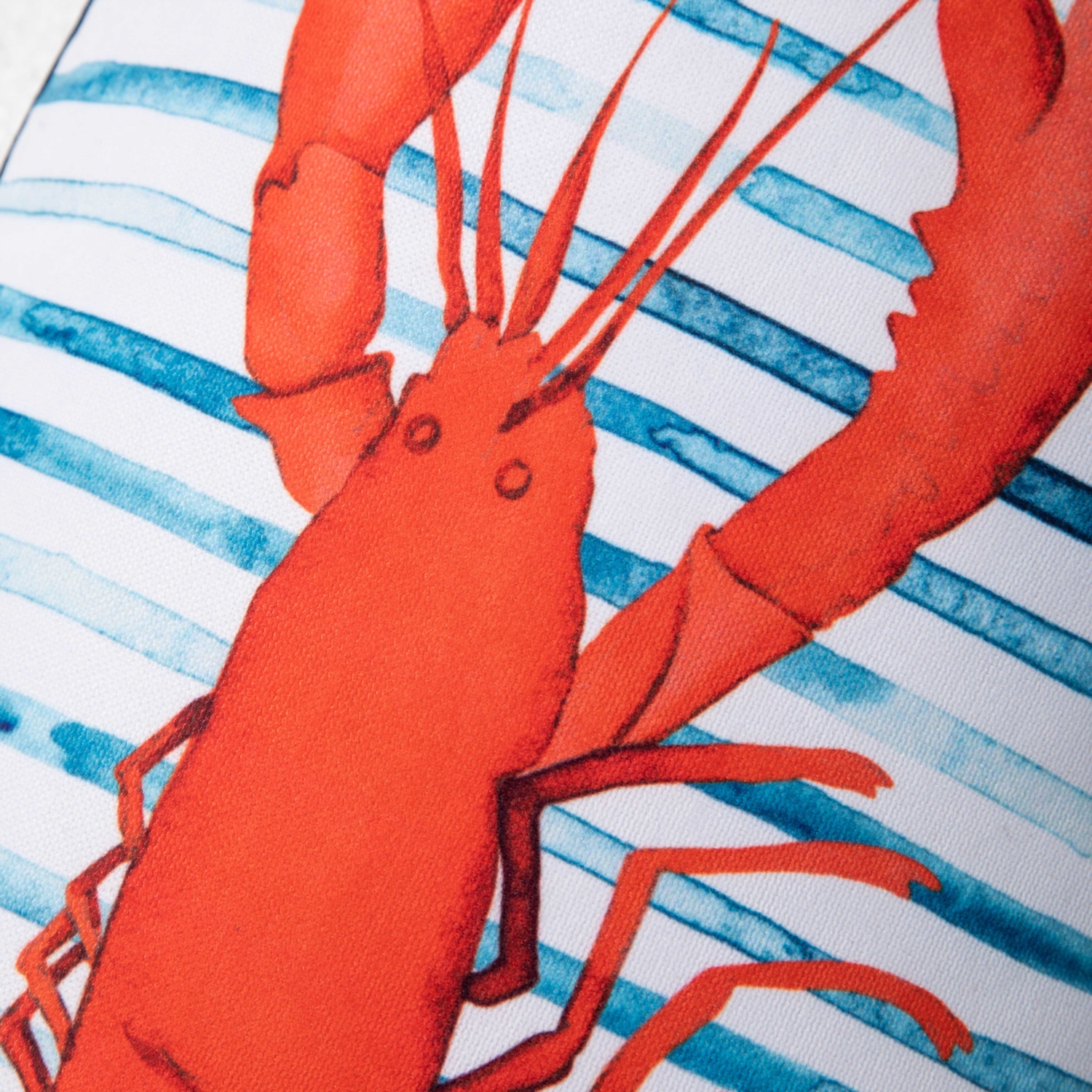 MARİN LOBSTER KIRLENT RENKLİ 30X50