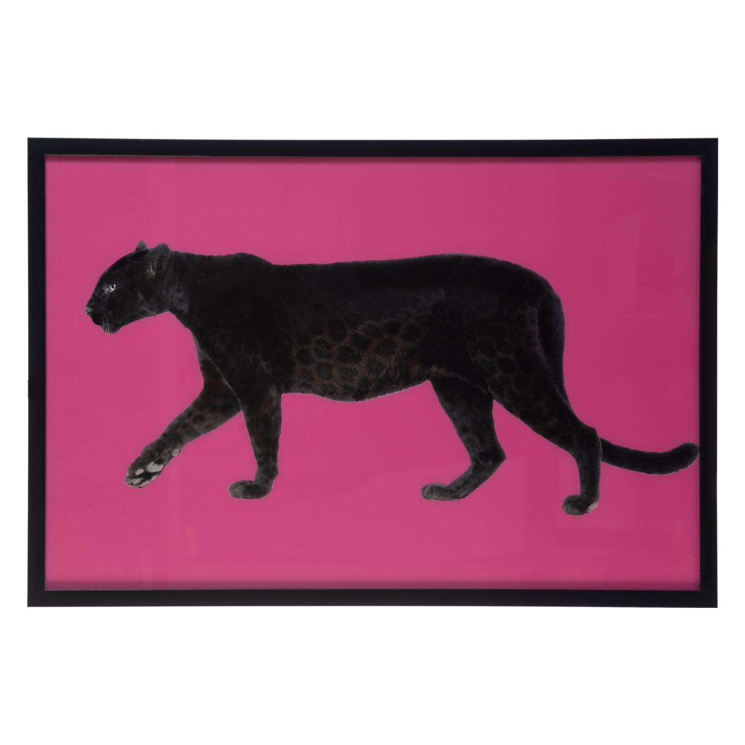 CHEETAH CAM BASKI ÇERÇEVELİ PANO 60X90CM