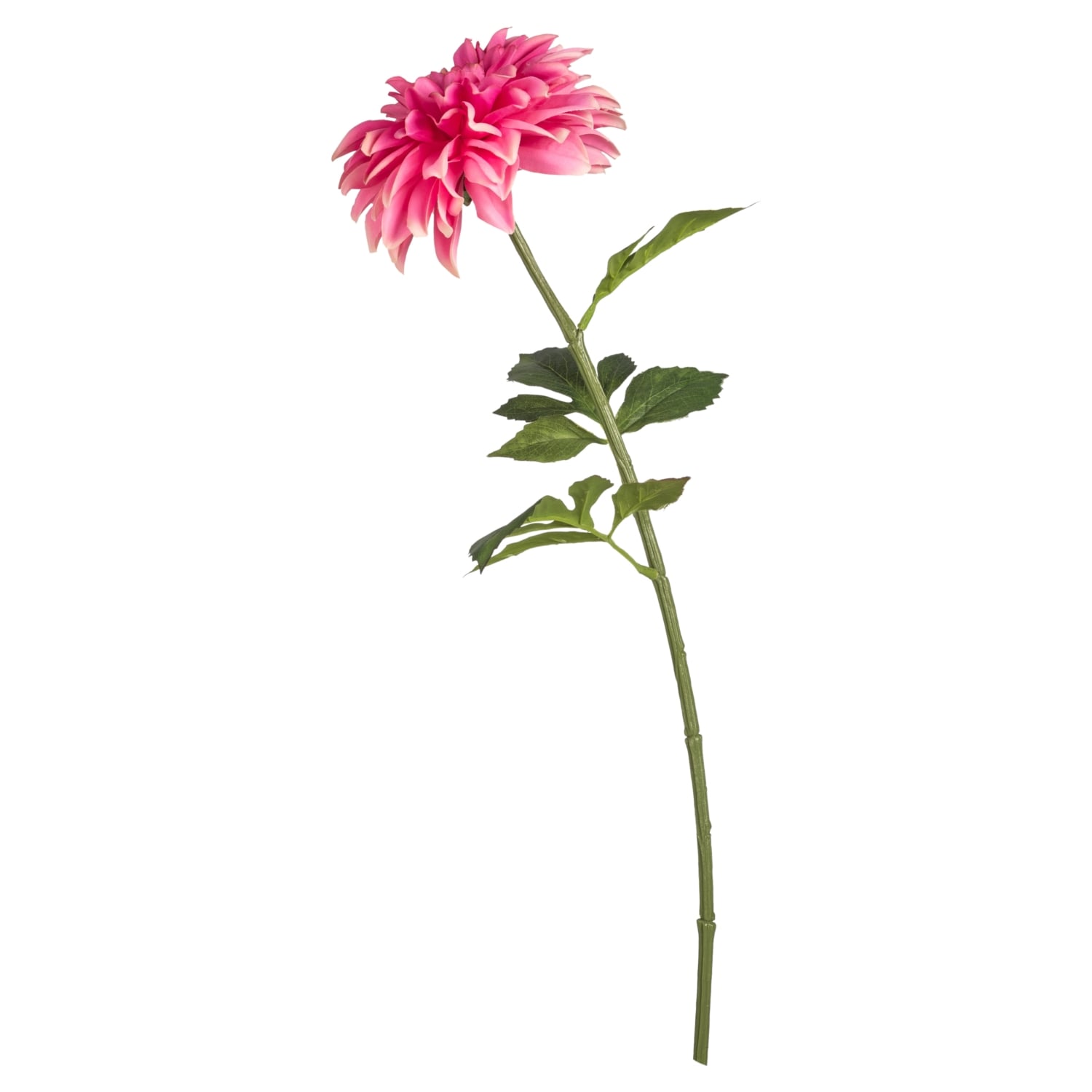 YILDIZ ÇİÇEĞİ PEMBE 77CM