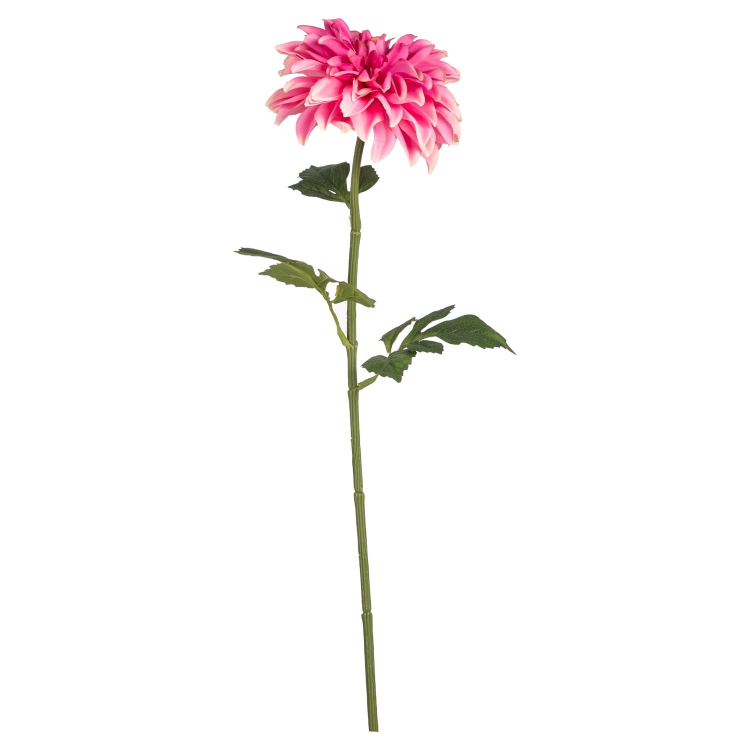 YILDIZ ÇİÇEĞİ PEMBE 77CM