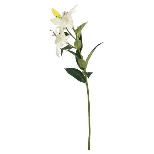 ZAMBAK ÇİÇEĞİ BEYAZ 85CM