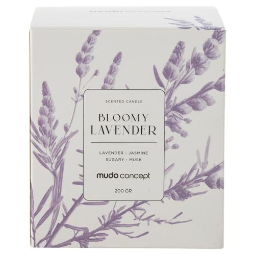  BLOOMY LAVENDER KOKULU MUM