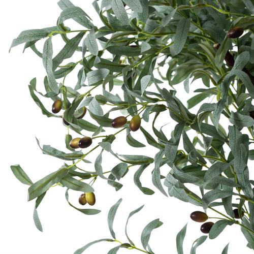  ZEYTİN AĞACI 180 CM