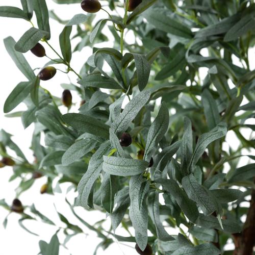  ZEYTİN AĞACI 180 CM