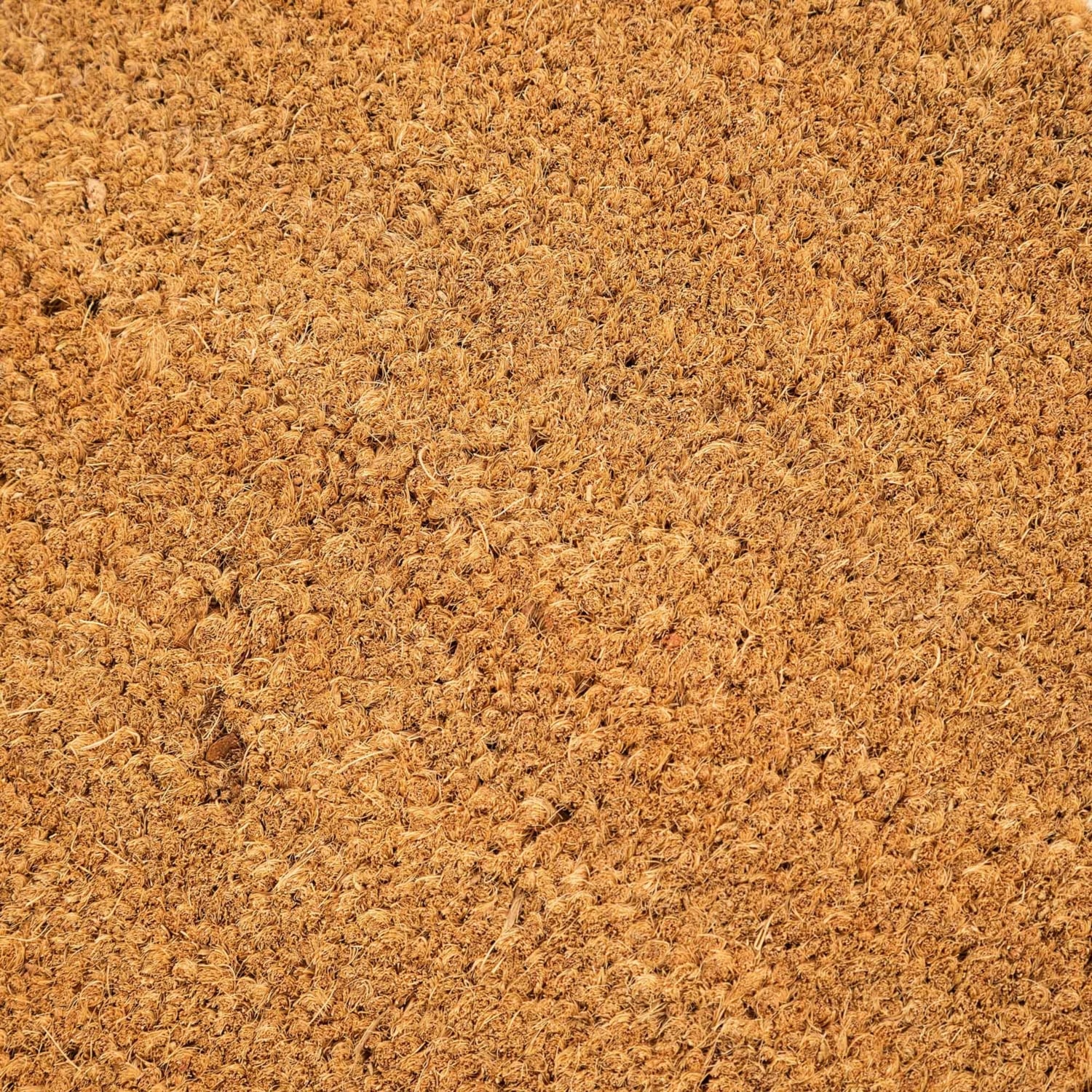 PLAIN KAPI PASPASI 35X60