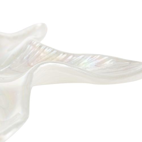  STARFISH DEKORATİF TABAK BEYAZ 25 CM