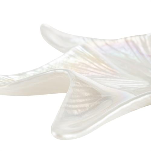  STARFISH DEKORATİF TABAK BEYAZ 25 CM