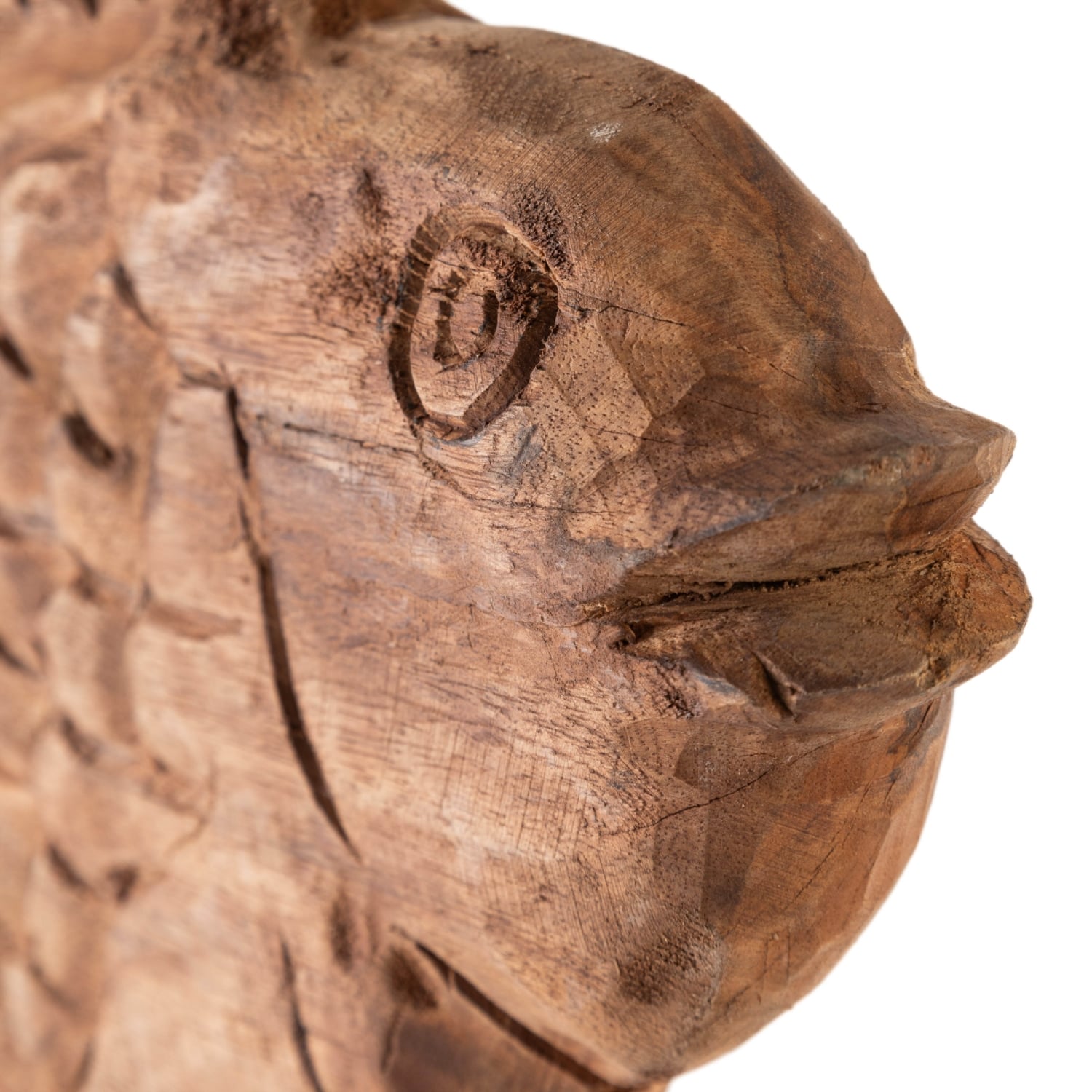 NATURAL FISH II BİBLO 46X54 CM