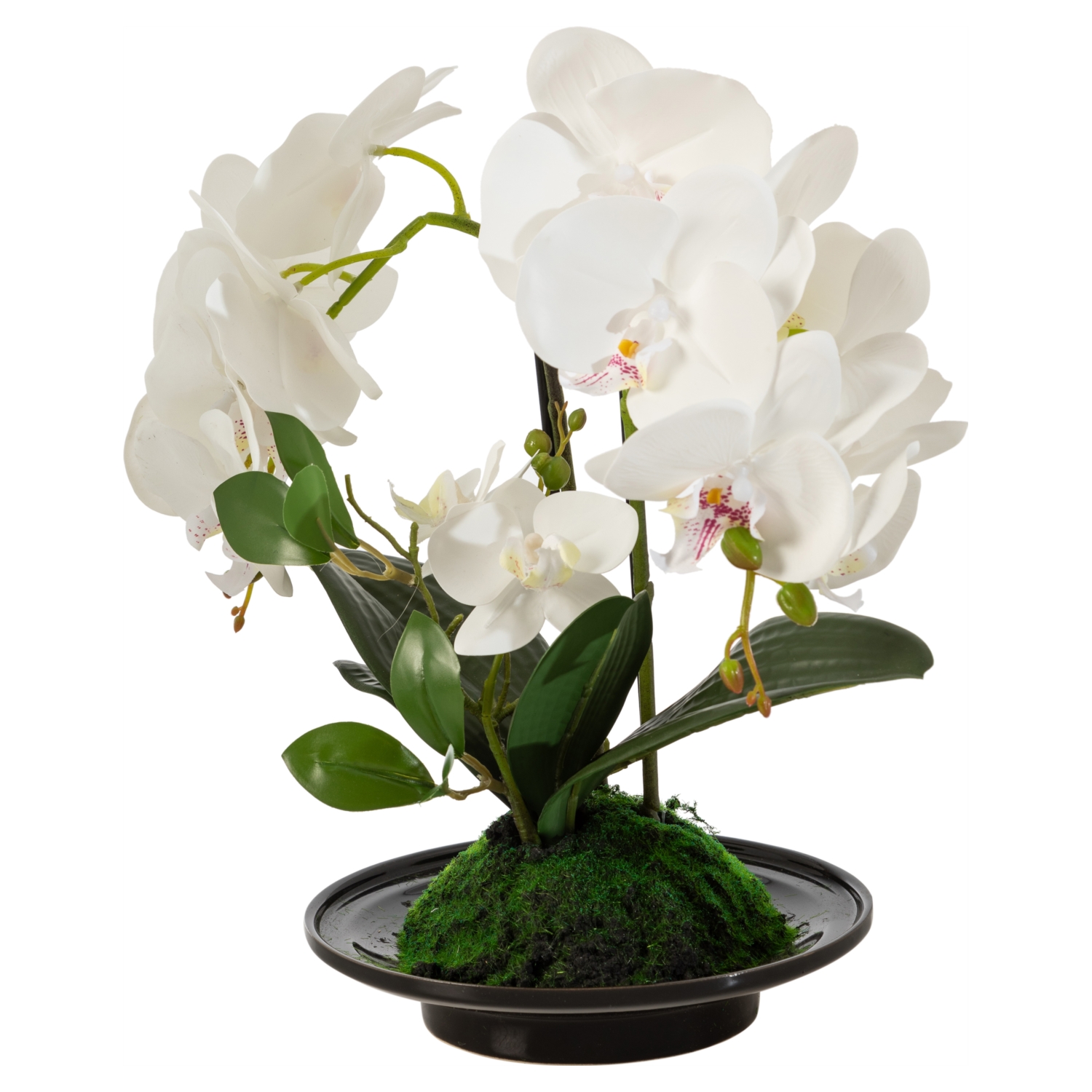 CLARA SAKSILI ORKİDE 32X15X34 CM