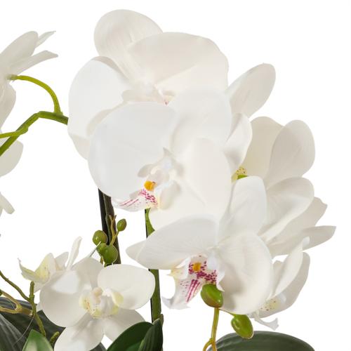  CLARA SAKSILI ORKİDE 32X15X34 CM