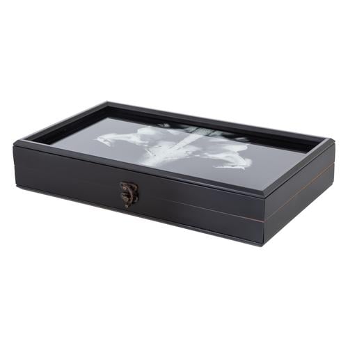  GLACIA TAVLA 24X44CM