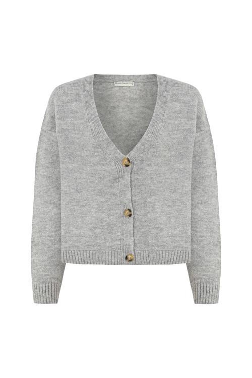  DÜĞMELİ V YAKA TRİKO HIRKA