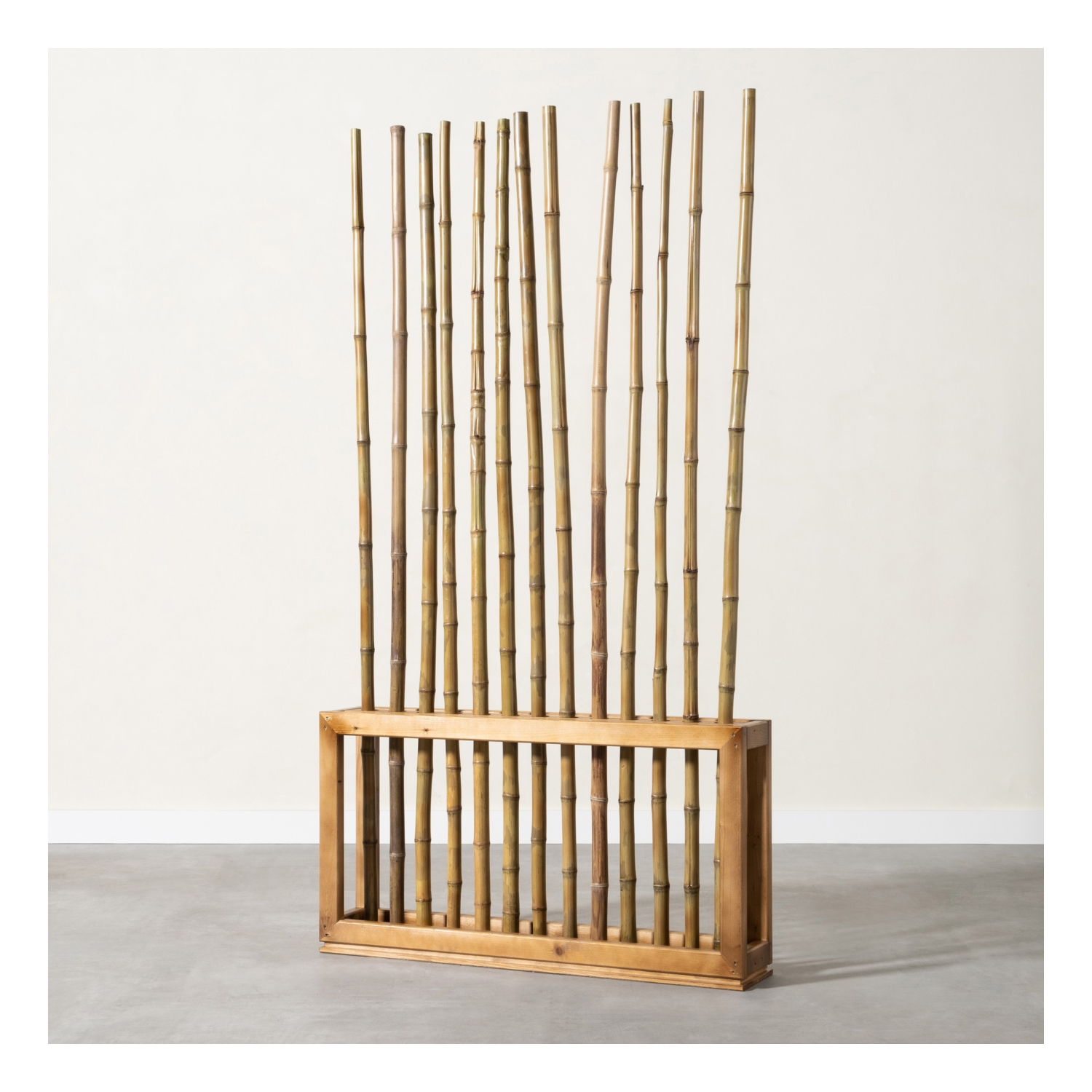 ANGELO NATURAL  PARAVAN