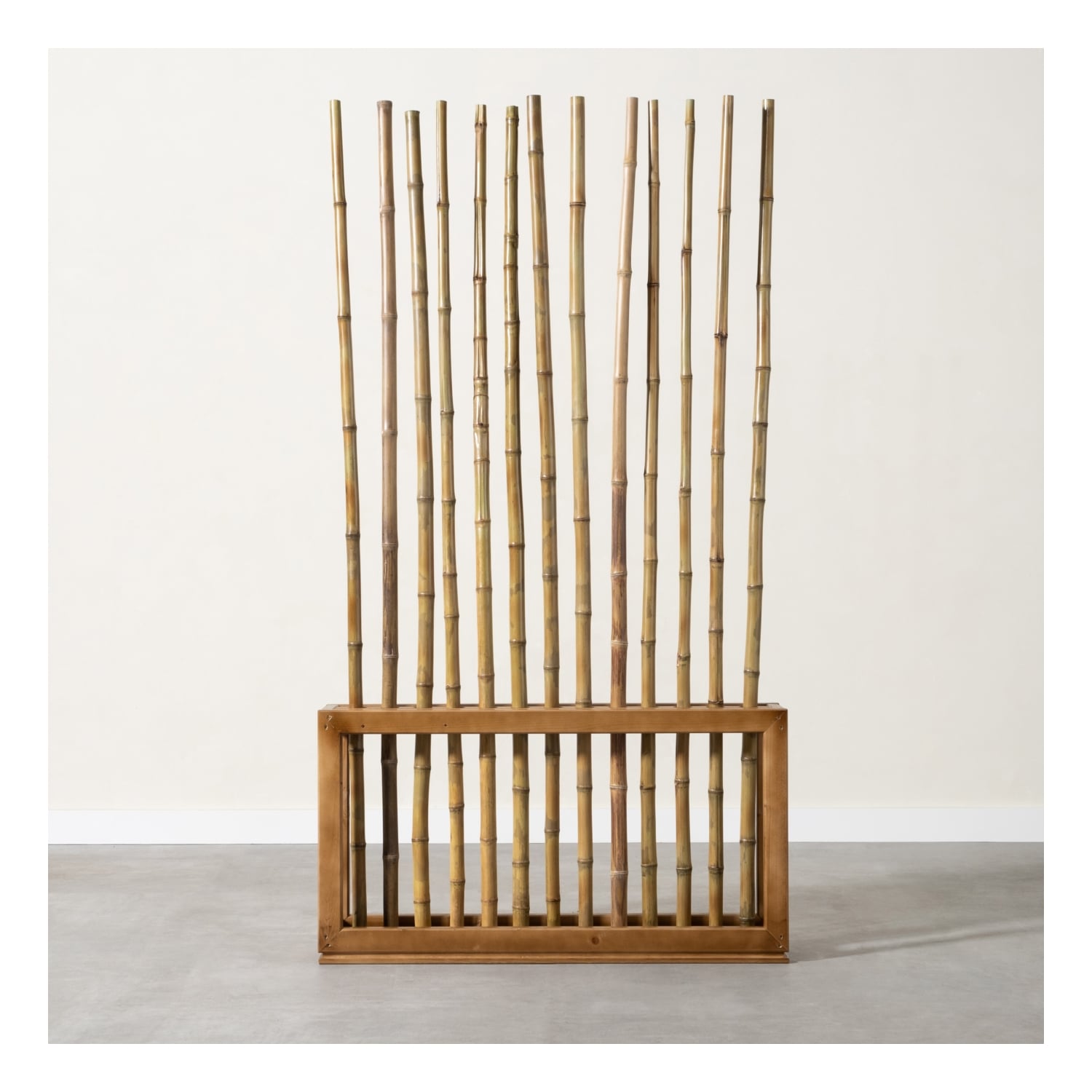 ANGELO NATURAL  PARAVAN