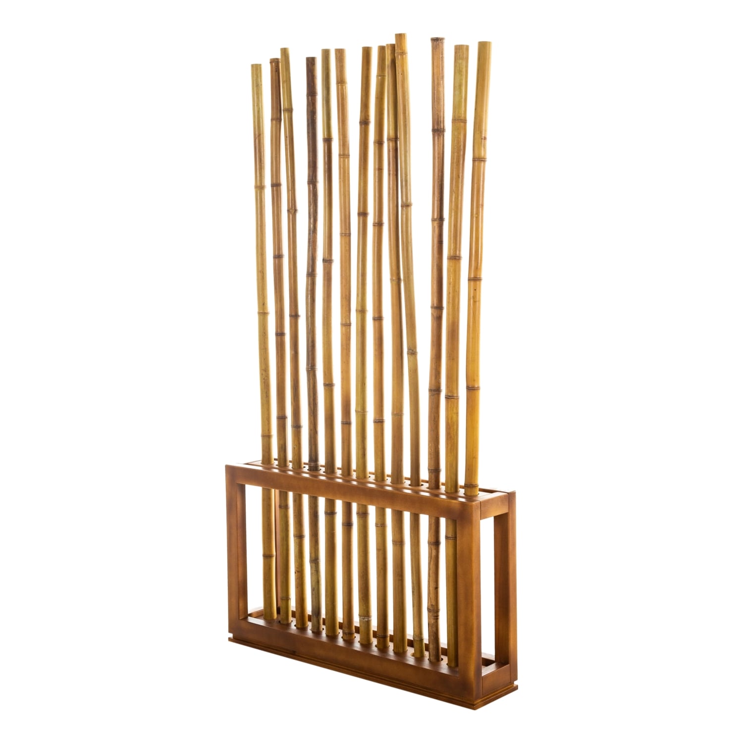 ANGELO NATURAL  PARAVAN