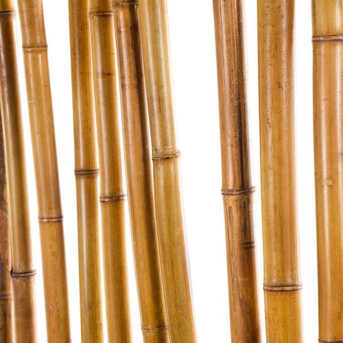  ANGELO NATURAL  PARAVAN