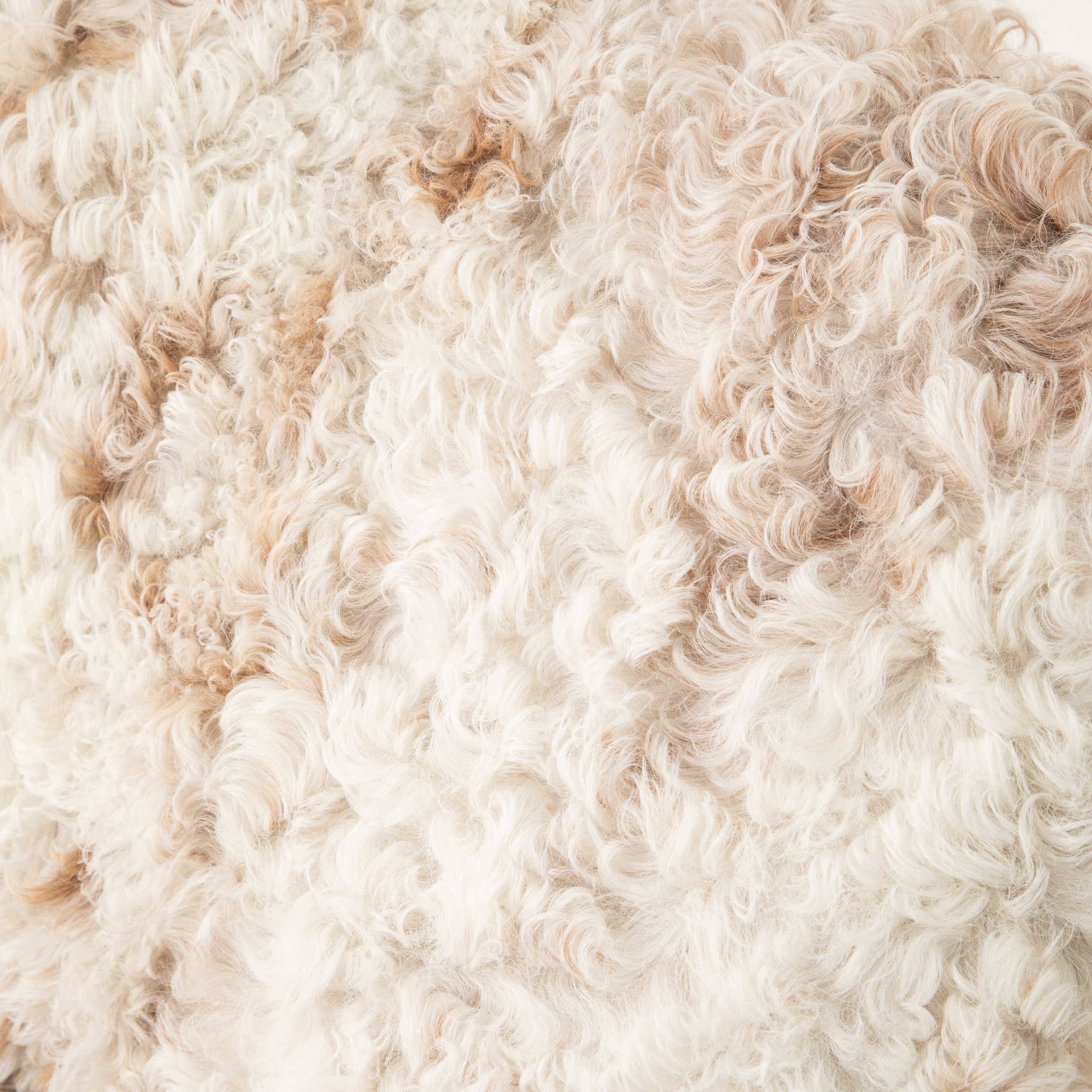 NOVA İKİLİ DERİ KOLTUK