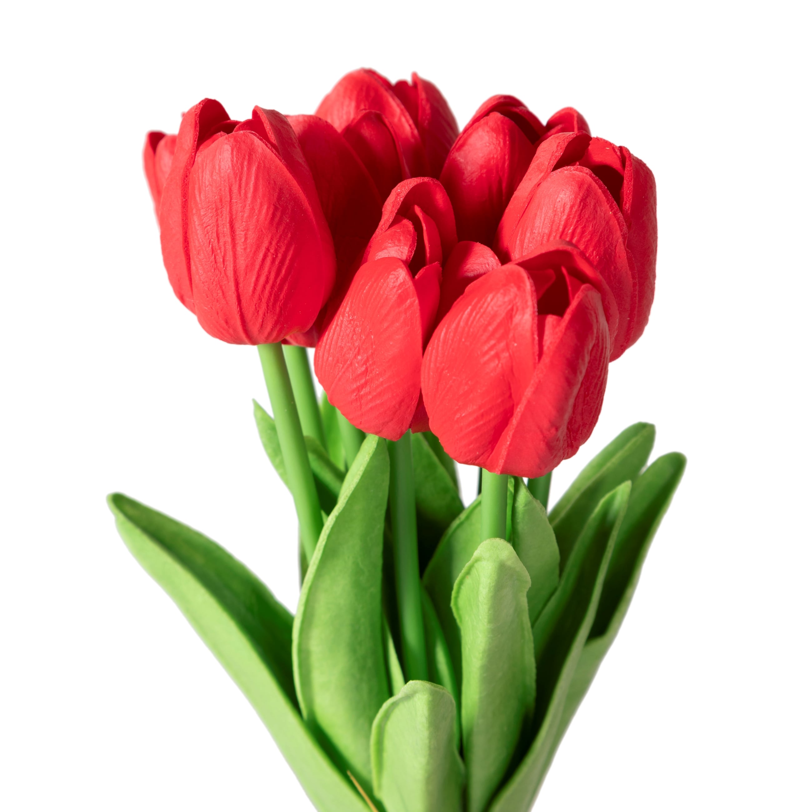 VALERIA KIRMIZI LALE DEMETİ 14X14X32CM