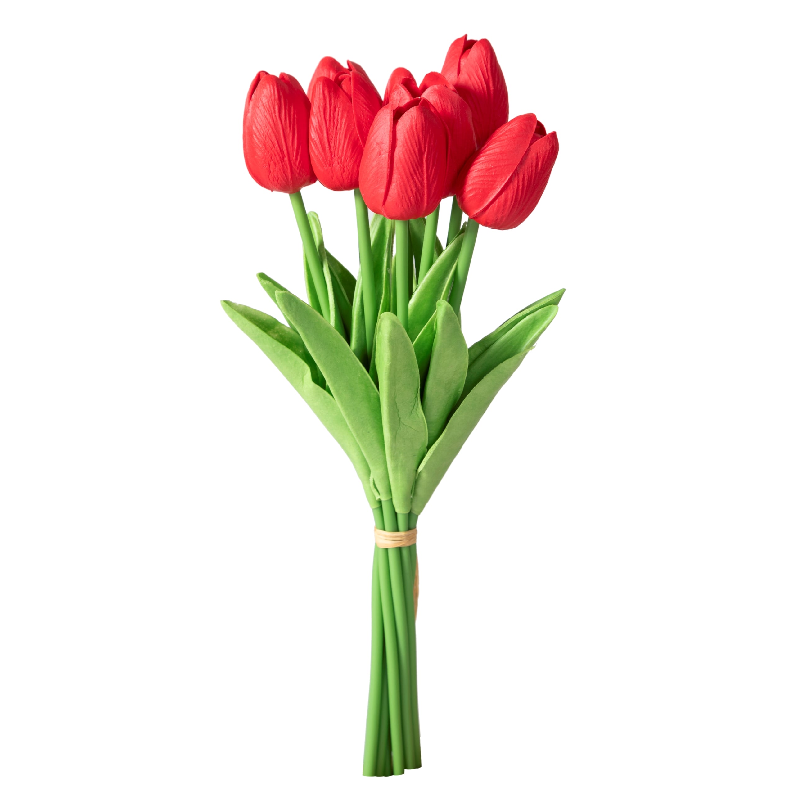 VALERIA KIRMIZI LALE DEMETİ 14X14X32CM