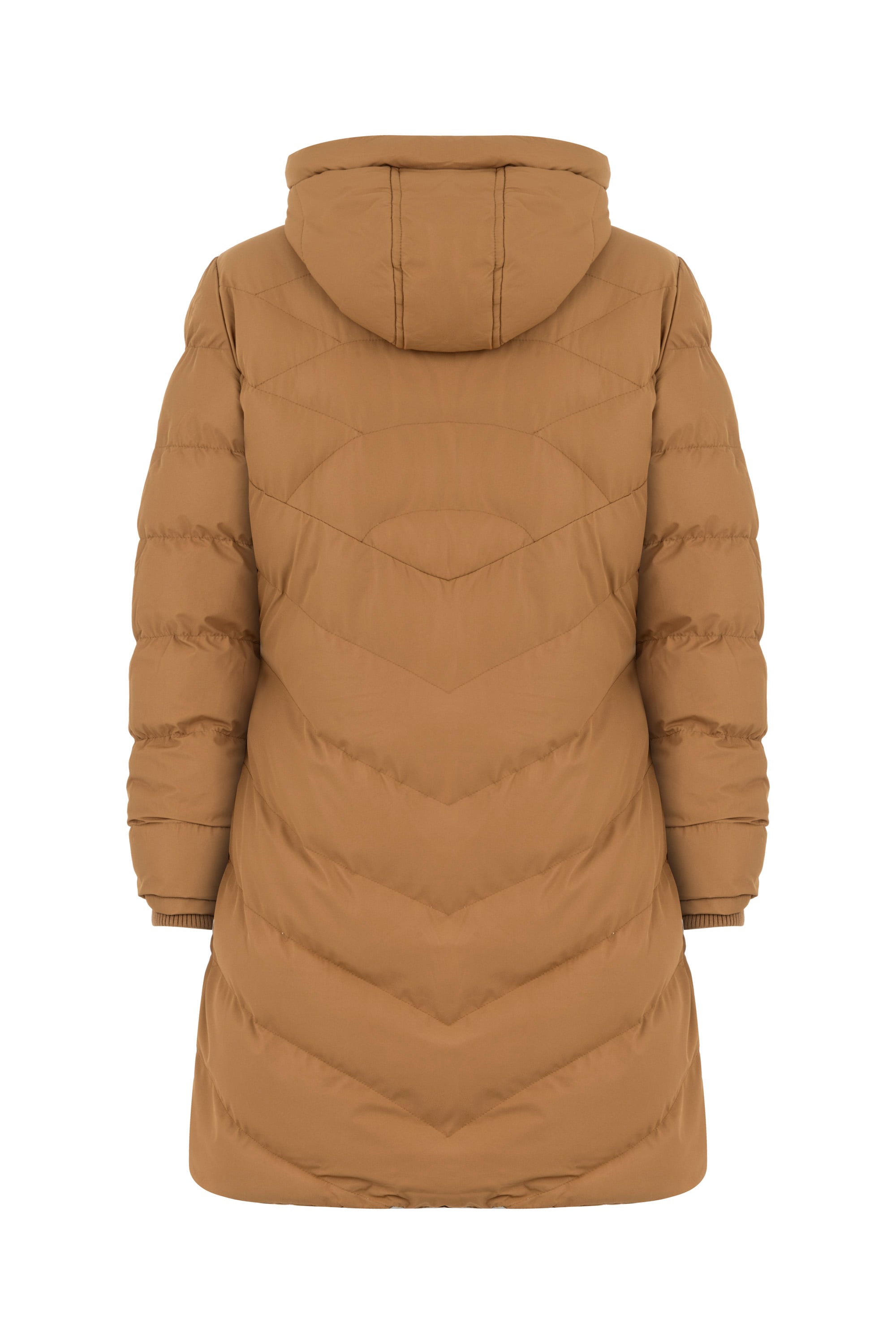 KAPİTONELİ KAPÜŞONLU ŞİŞME MONT