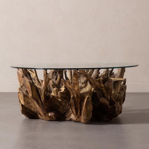  SPIDER KAHVE SEHPASI