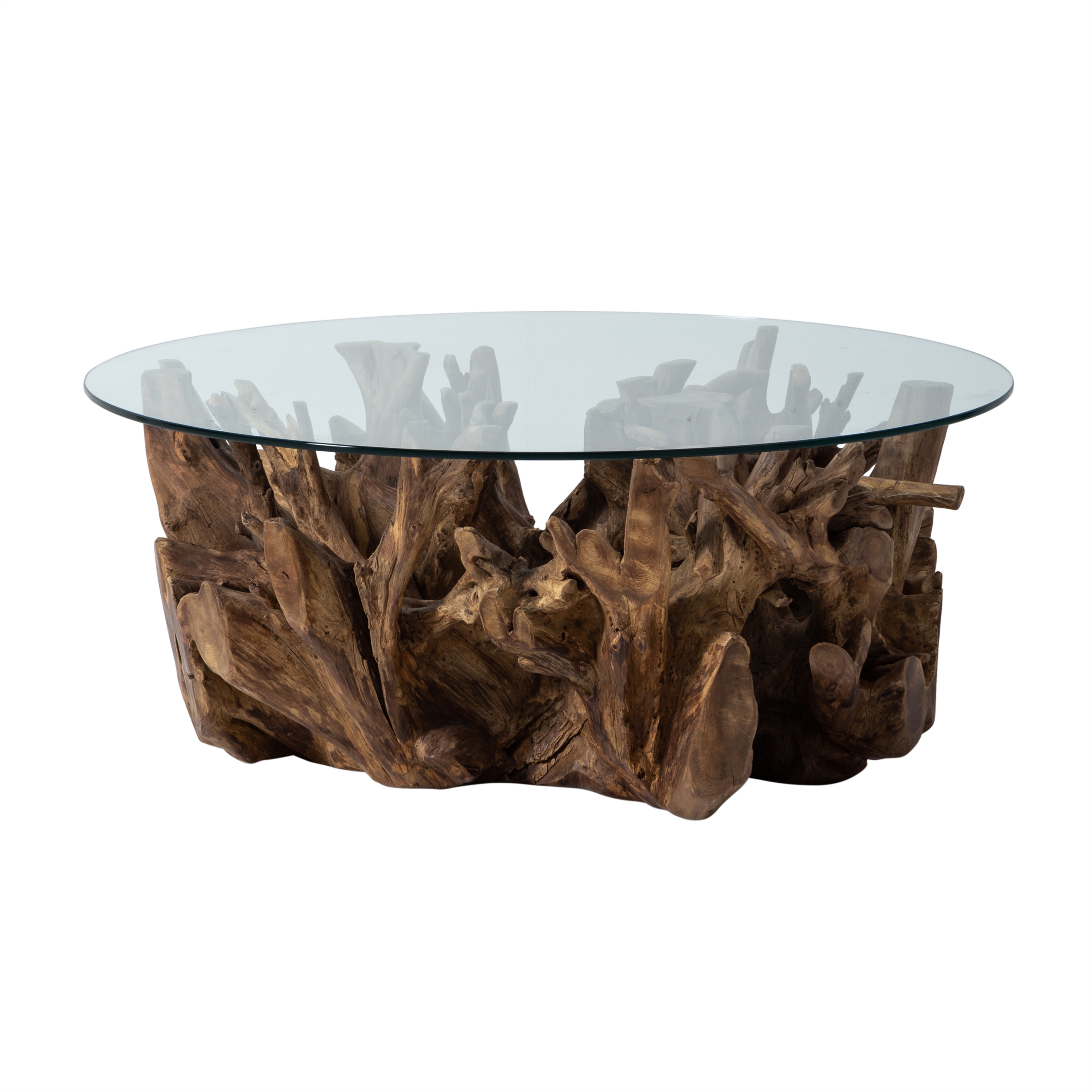 SPIDER KAHVE SEHPASI