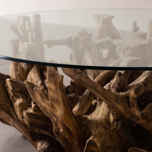  SPIDER KAHVE SEHPASI