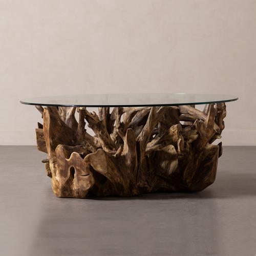  SPIDER KAHVE SEHPASI