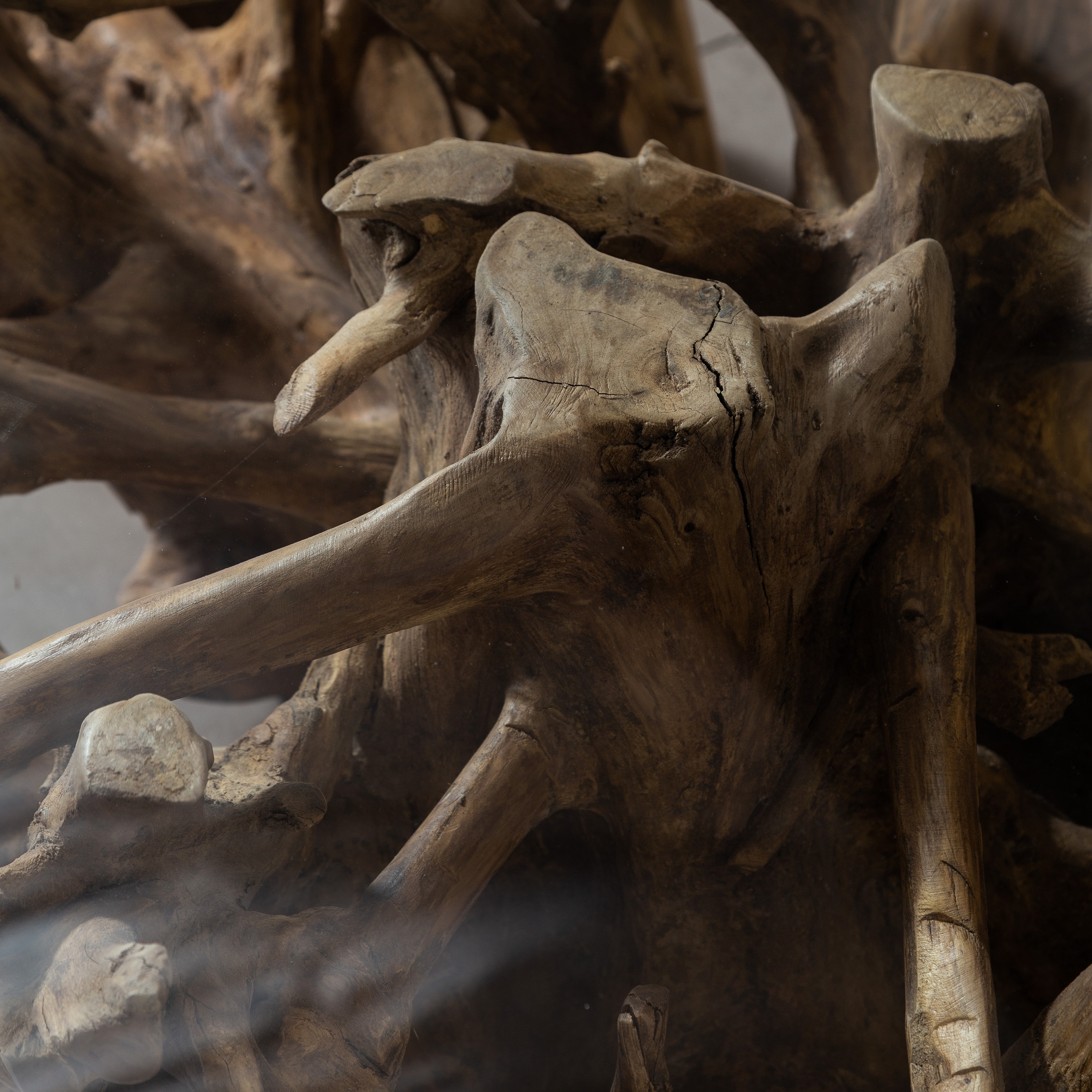 SPIDER KAHVE SEHPASI