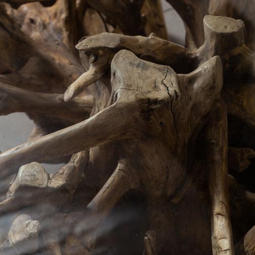  SPIDER KAHVE SEHPASI