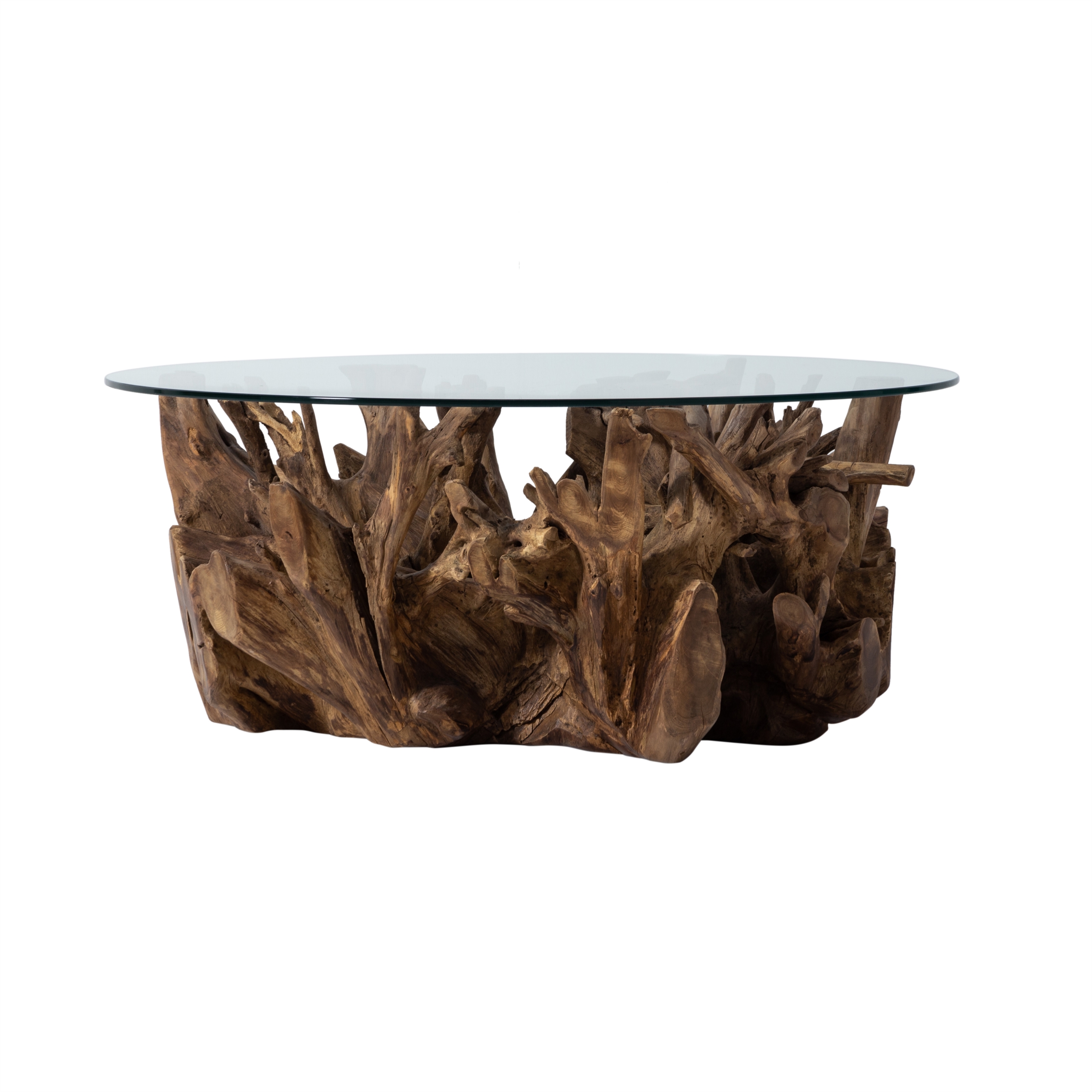 SPIDER KAHVE SEHPASI